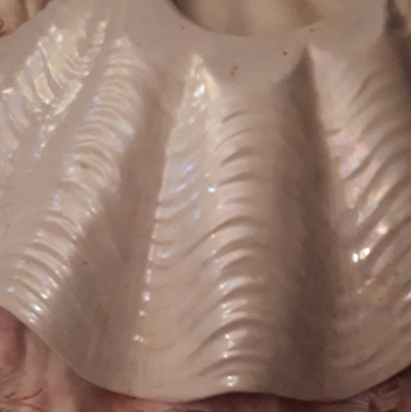 Vintage half shell dish - Picture 5 of 5